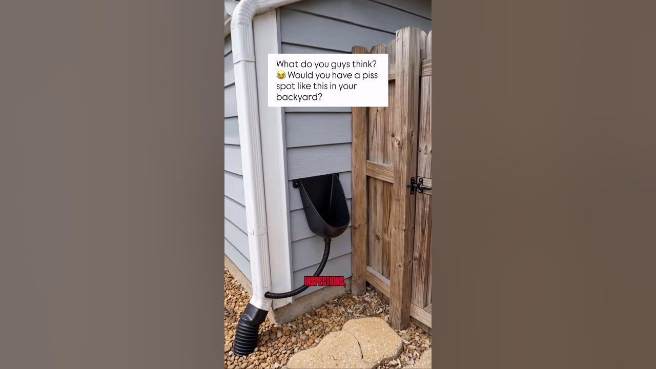 Still from @Usainspection's YouTube post: Bizarre backyard feature defies normal home expectations
